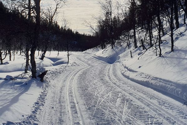 Loma-asunto / Saariselkä